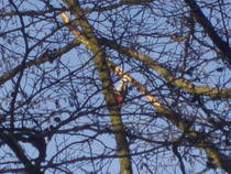 foto/diskuze/z_lovu/2012/th-img91142.jpg
