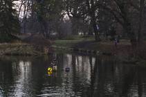 foto/diskuze/z_lovu/2012/th-img91202.jpg