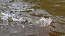 foto/diskuze/z_lovu/2013/th-img100014.jpg