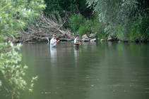 foto/diskuze/z_lovu/2013/th-img100023.jpg