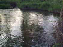 foto/diskuze/z_lovu/2013/th-img100035.jpg