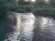 foto/diskuze/z_lovu/2013/th-img100036.jpg