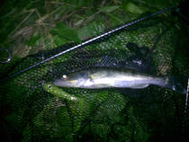 foto/diskuze/z_lovu/2013/th-img100037.jpg