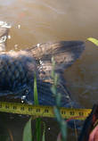 foto/diskuze/z_lovu/2013/th-img100060.jpg