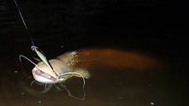 foto/diskuze/z_lovu/2013/th-img100062.jpg
