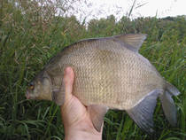 foto/diskuze/z_lovu/2013/th-img100085.jpg