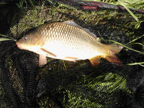foto/diskuze/z_lovu/2013/th-img100088.jpg