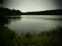 foto/diskuze/z_lovu/2013/th-img100100.jpg