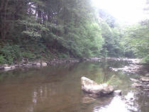 foto/diskuze/z_lovu/2013/th-img100145.jpg