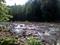foto/diskuze/z_lovu/2013/th-img100146.jpg