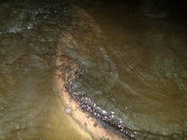 foto/diskuze/z_lovu/2013/th-img100163.jpg