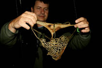 foto/diskuze/z_lovu/2013/th-img100188.jpg
