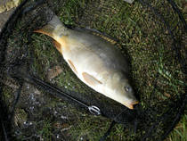 foto/diskuze/z_lovu/2013/th-img100211.jpg