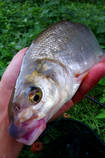 foto/diskuze/z_lovu/2013/th-img100358.jpg