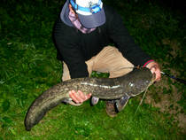 foto/diskuze/z_lovu/2013/th-img100363.jpg