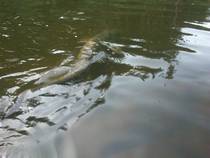 foto/diskuze/z_lovu/2013/th-img100370.jpg