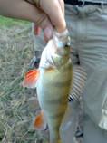 foto/diskuze/z_lovu/2013/th-img100377.jpg