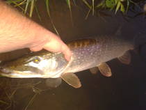 foto/diskuze/z_lovu/2013/th-img100380.jpg