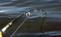 foto/diskuze/z_lovu/2013/th-img100393.jpg
