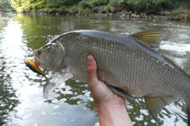 foto/diskuze/z_lovu/2013/th-img100432.jpg