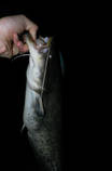 foto/diskuze/z_lovu/2013/th-img100442.jpg