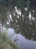 foto/diskuze/z_lovu/2013/th-img100468.jpg