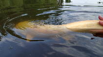 foto/diskuze/z_lovu/2013/th-img100478.jpg
