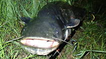foto/diskuze/z_lovu/2013/th-img100503.jpg