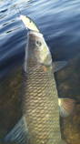 foto/diskuze/z_lovu/2013/th-img100522.jpg