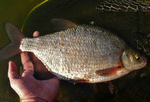 foto/diskuze/z_lovu/2013/th-img100529.jpg