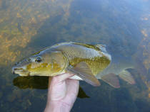 foto/diskuze/z_lovu/2013/th-img100537.jpg