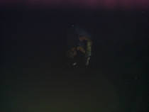 foto/diskuze/z_lovu/2013/th-img100600.jpg