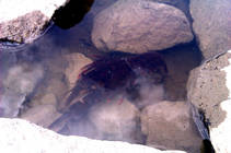 foto/diskuze/z_lovu/2013/th-img100613.jpg