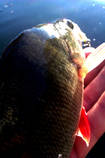 foto/diskuze/z_lovu/2013/th-img100643.jpg