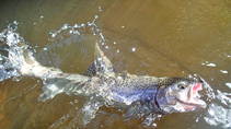 foto/diskuze/z_lovu/2013/th-img100671.jpg