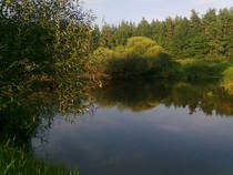 foto/diskuze/z_lovu/2013/th-img100757.jpg