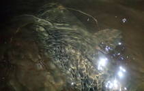 foto/diskuze/z_lovu/2013/th-img100882.jpg