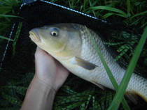 foto/diskuze/z_lovu/2013/th-img100883.jpg
