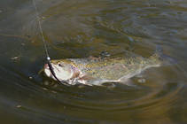 foto/diskuze/z_lovu/2013/th-img100919.jpg
