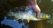 foto/diskuze/z_lovu/2013/th-img100929.jpg