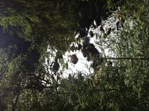 foto/diskuze/z_lovu/2013/th-img100958.jpg