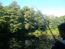 foto/diskuze/z_lovu/2013/th-img100971.jpg