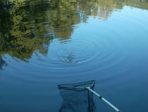 foto/diskuze/z_lovu/2013/th-img100972.jpg