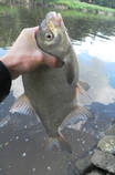 foto/diskuze/z_lovu/2013/th-img101056.jpg