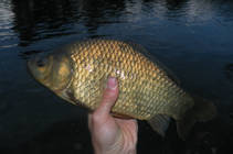 foto/diskuze/z_lovu/2013/th-img101058.jpg