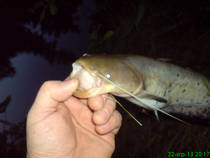 foto/diskuze/z_lovu/2013/th-img101074.jpg