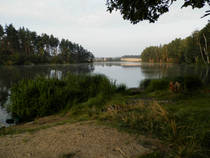 foto/diskuze/z_lovu/2013/th-img101095.jpg