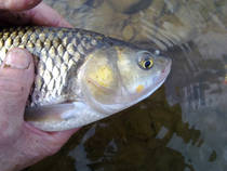 foto/diskuze/z_lovu/2013/th-img101107.jpg