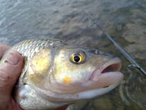 foto/diskuze/z_lovu/2013/th-img101108.jpg