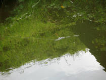 foto/diskuze/z_lovu/2013/th-img101186.jpg
